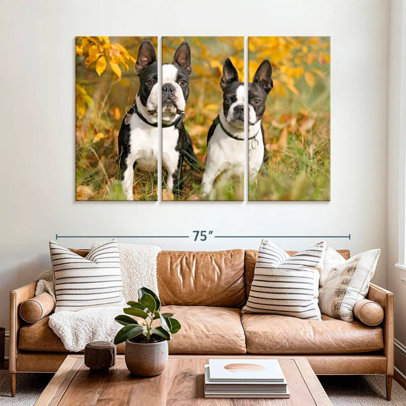 Boston Terrier Couple, H 42 po x l 65 po