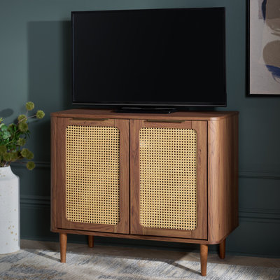 Brey 2 Door Compact Tv Stand