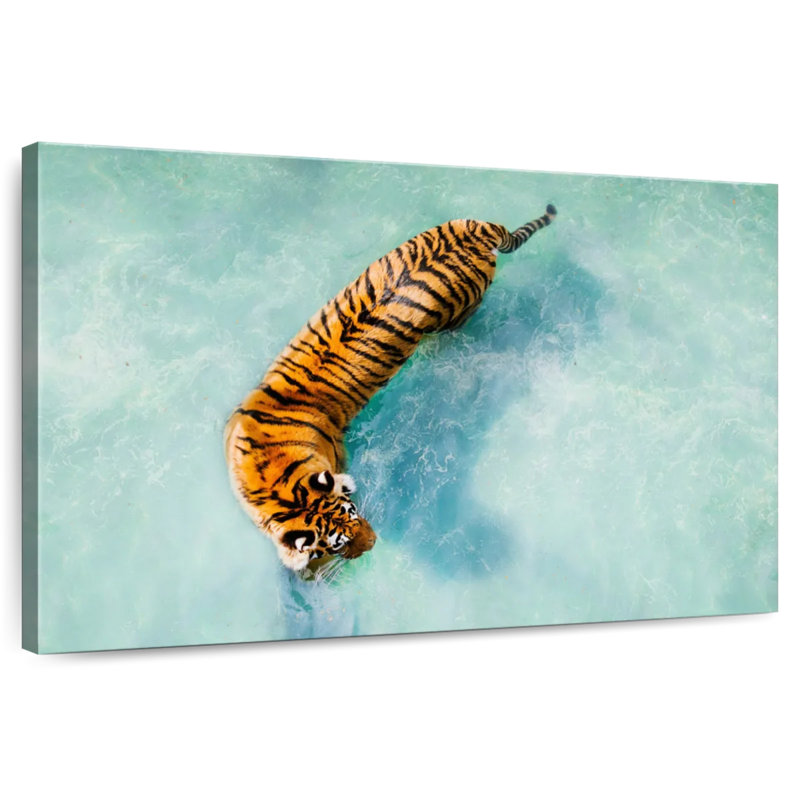 Brampt Pool Tiger, 24" H x 36" W