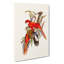 Fiery Parakeets by Elizabeth Gould - Wrapped Canvas-55370880
