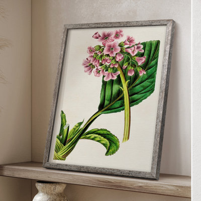 AntiqueFloralFolio III, reproduction encadrée - bois massif 2768838
