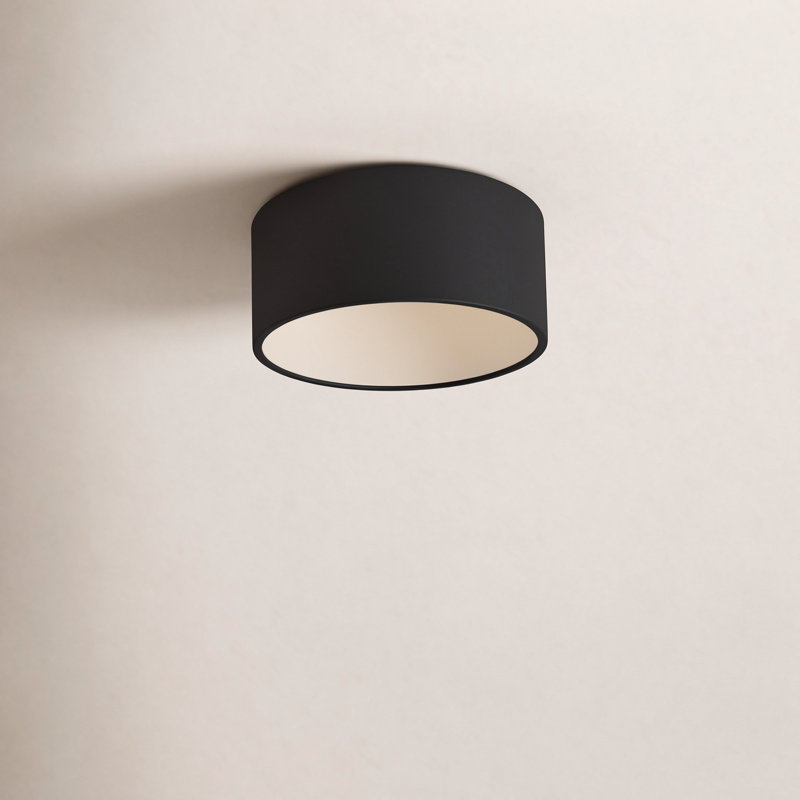 Leni LED Outdoor Flush Mount, Carbon Matte Black