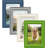 Gallery Picture Frame Set for Wall or Tabletop Display, Real Glass-1884440216