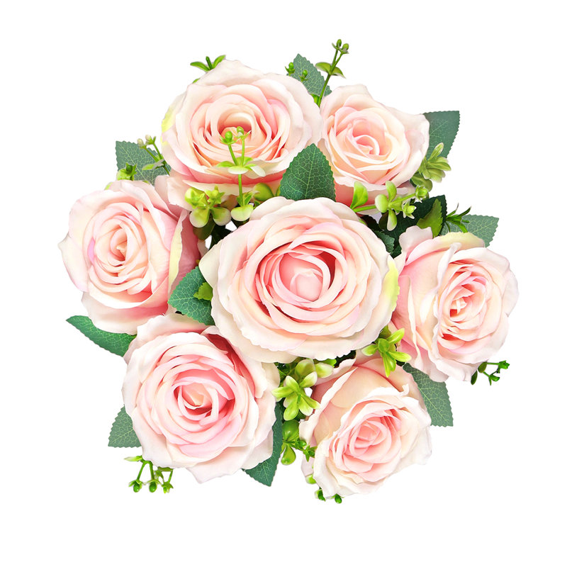 Roses, buissons, Rosé