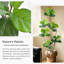 Verdure artificielle de 78,74 po avec forme pliable et feuilles dentelées vert foncé, lavable et résistante au soleil