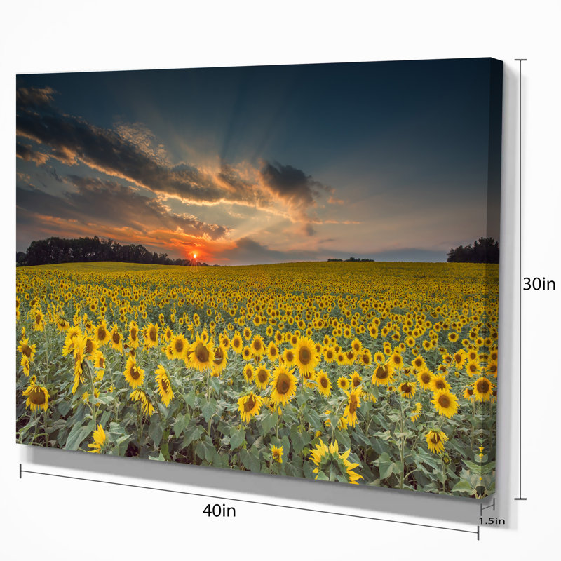Coucher de soleil avec ciel nuageux Hedy par Jeb Buchman, H 30 po x l 40 po, Métal métal