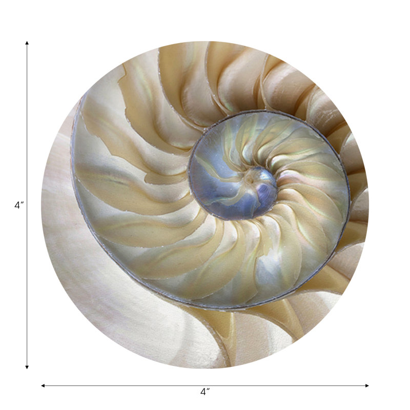 Sous-verres ronds en cuir Nautilus