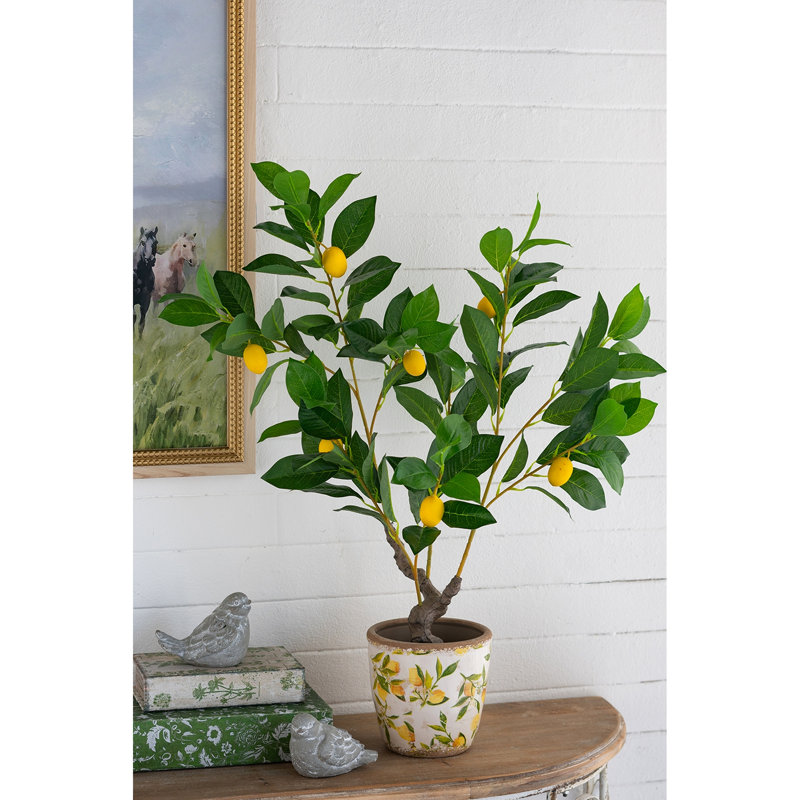 Citronnier artificiel réaliste 12 x 12 x 31,5 po dans un pot en plastique noir - apporte commodité et style à la décoration sans soleil ni arrosage du tout avec du matériel, de la verdure, idéal pour les petits