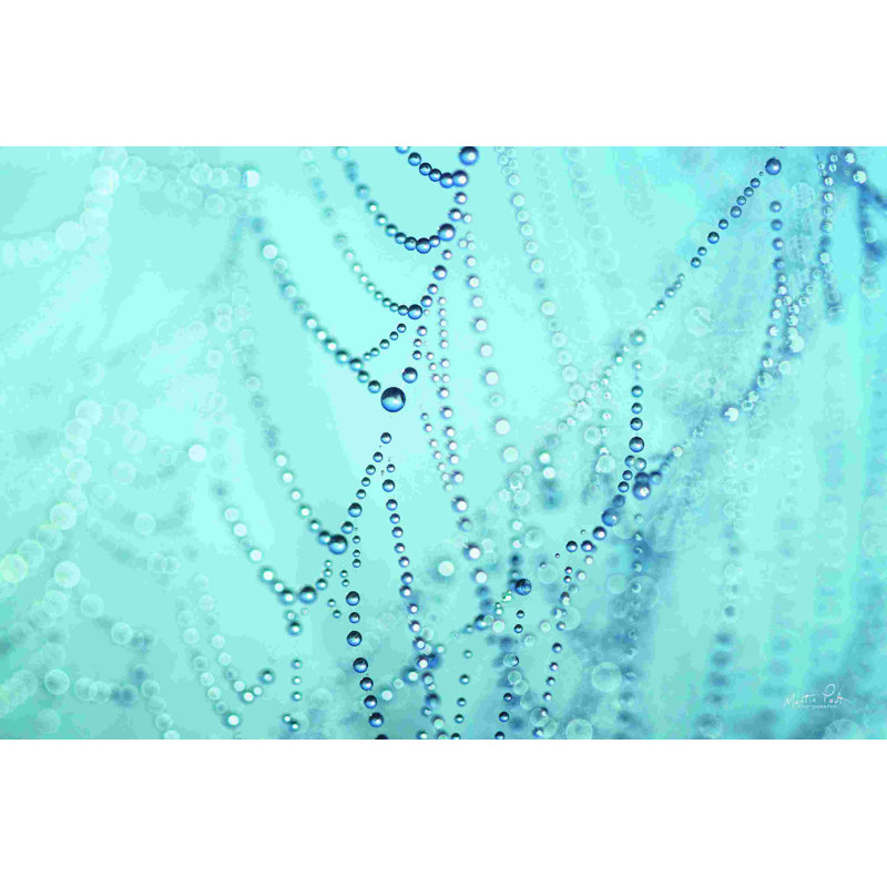 Nature's Jewels I, H 32 po x l 48 po, Non, Toile tendue