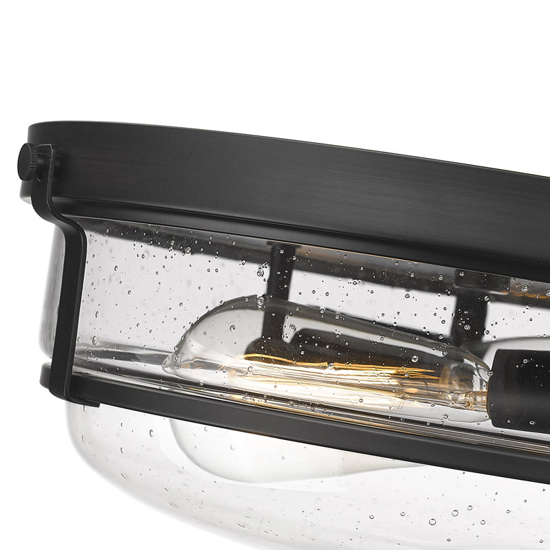 Mayson 2-Light Flushmount Ceiling Light Matte Black, Matte Black
