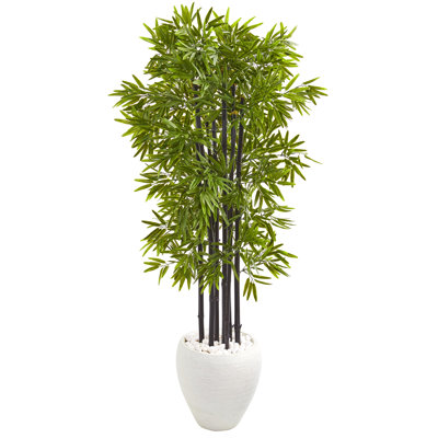 Bamboo Tree in White Planter UV Resistant