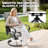 Burlington 5pcs Padded Textilene Outdoor Dining Set With Umbrella Hole, Swivel Design-151702971-151702972-151702975