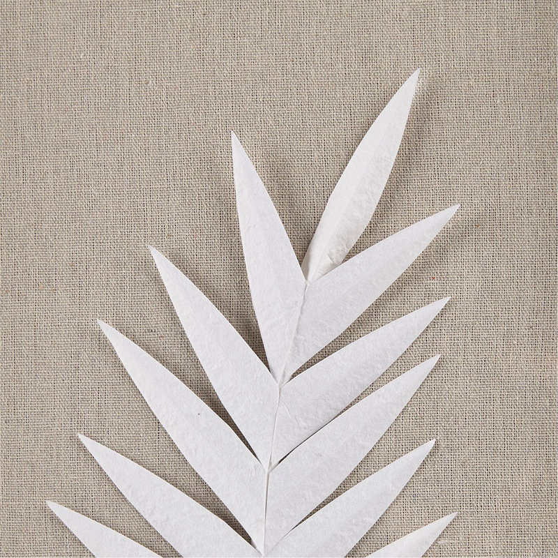 Ensemble de 3 décorations murales encadrées avec feuilles de palmier encadrées