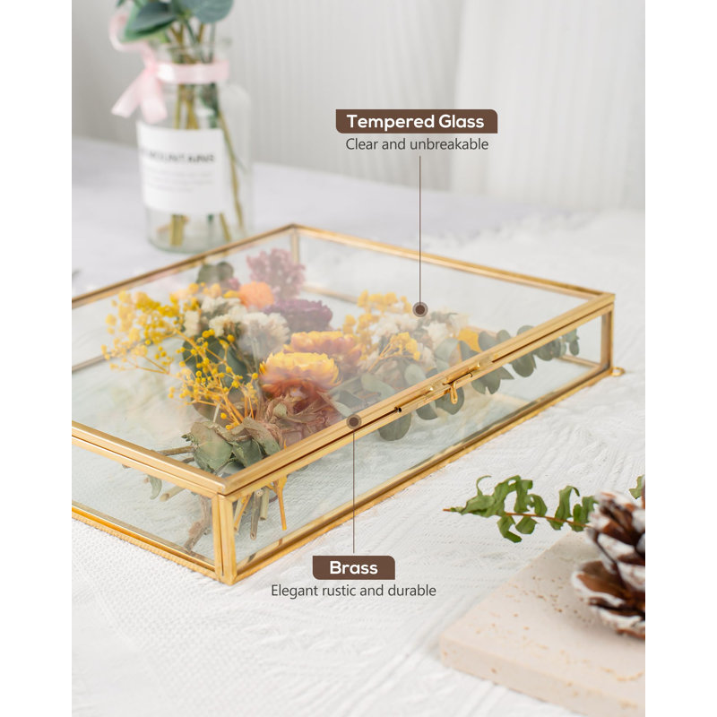 Shadow Box Frame 8X10, Deep Glass Shadow Box Display Case, 3D Shadow Boxes Picture Frame For DIY Wedding Dried Flowers, Memories, Tickets And Photos