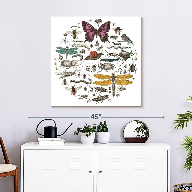 Brampt Insect Circle II Bright, 30" H x 30" W