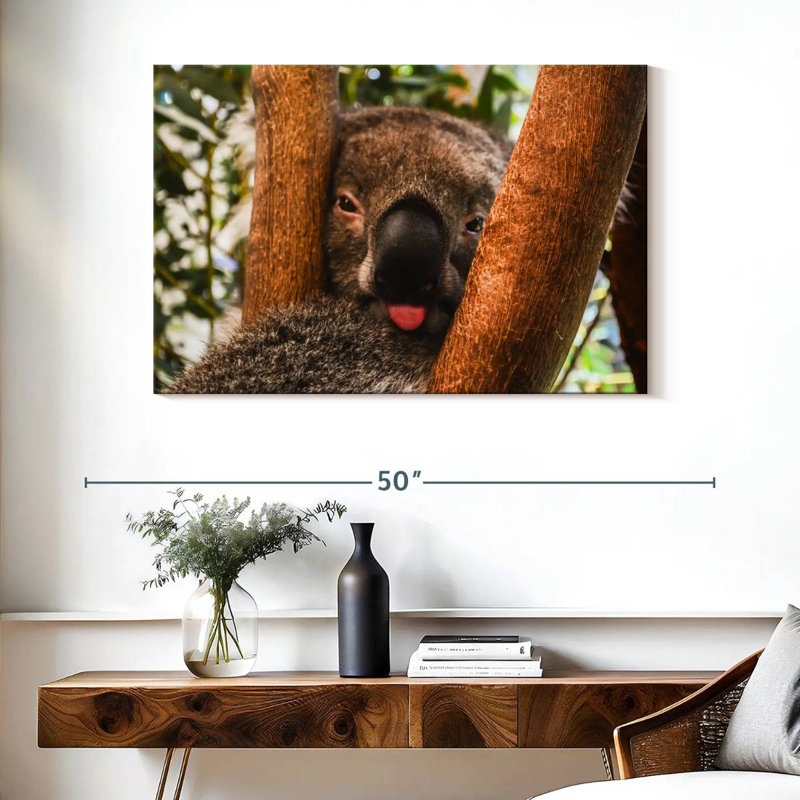 Brampt Funny Koala, 26" H x 39" W