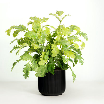 Faux Ivy Plant