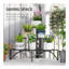 Plant Stand