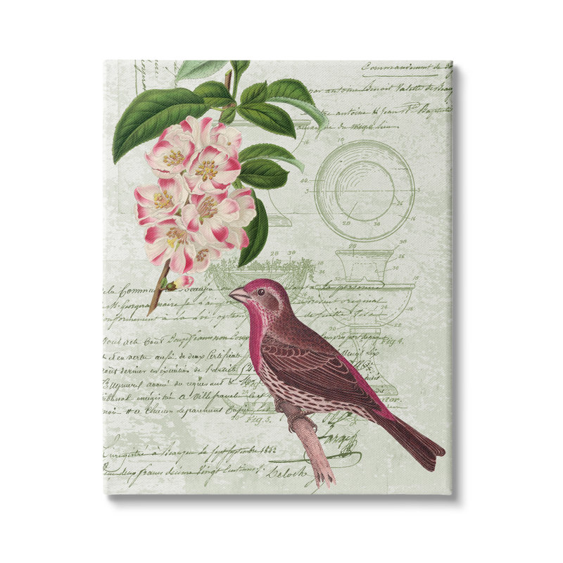 Rosier pinson par Daphne Polselli, Toile tendue, H 30 po x l 24 po x P 1,5 po