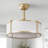 19'' Modern Ceiling Fan With Light