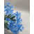 Blue selected