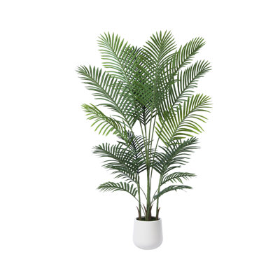 Adrielle Palm Tree in Pot