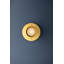Dighton Flush Mount-109178355