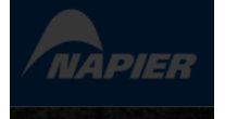 Logo Napier Enterprises