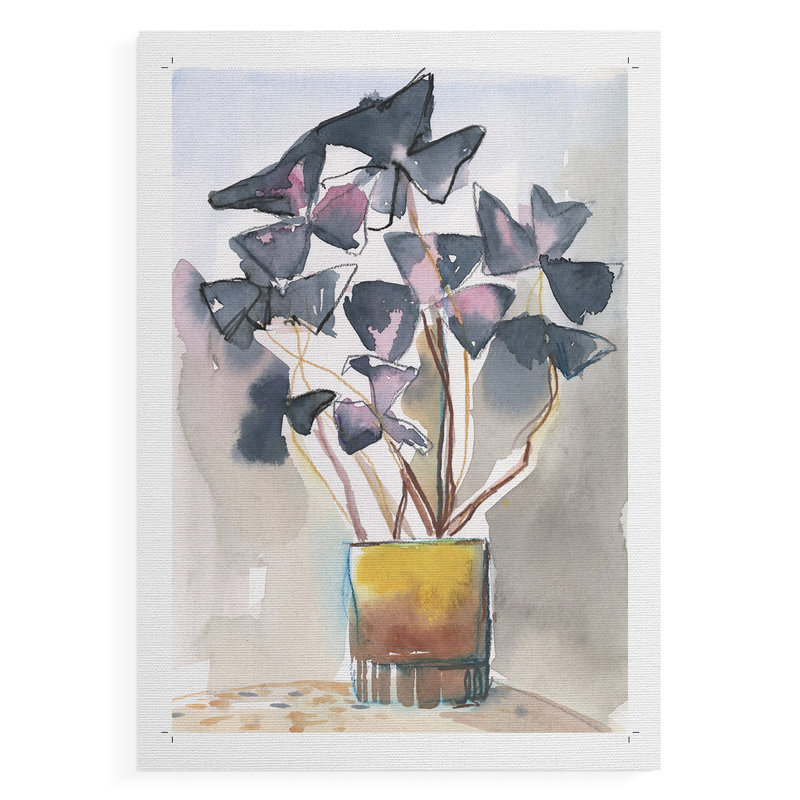 Oxalis dans un vase II - Impression sur toile seulement - NON-CADRE, H 60 po x l 40 po