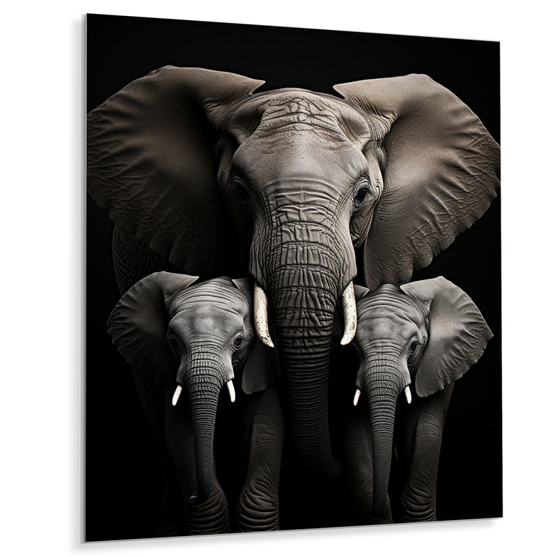 Décoration murale éléphant noir et blanc «Embrace of Force I» - animaux éléphant, H 20 po x l 12 po
