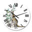 Kangourou avec feuilles d'eucalyptus - Horloge murale traditionnelle-57848370