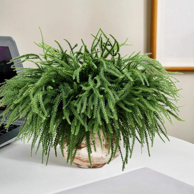 100 Pcs Christmas Norfolk Pine Branches, Christmas Greenery Stems, Artificial Pine Branches DIY Crafts Faux For Xmas Wreath Garland Indoor Outdoor Home Kitchen Garden Holiday Accessories Decor