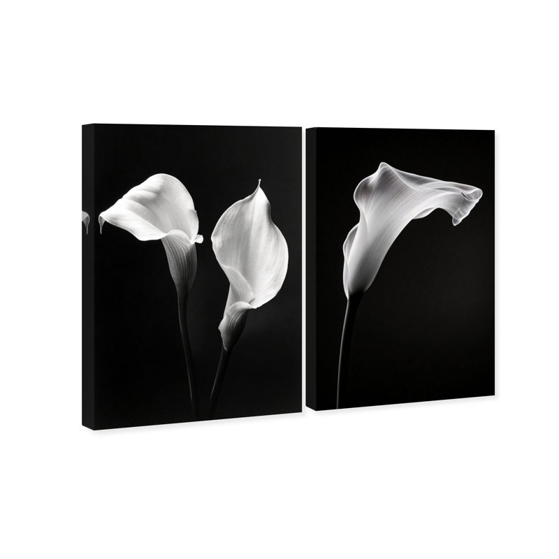 Calla Lily Set Set by Oliver Gal, 15" H x 10" W, Gallery Wrapped