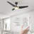 Alcia 52'' Ceiling Fan with LED Lights-784732627