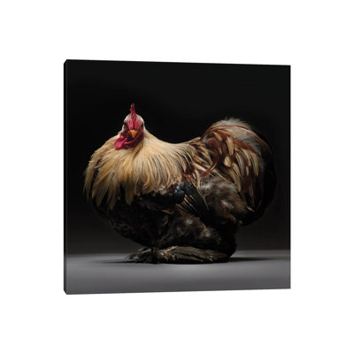 Pekin Bantam - Wrapped Canvas Print