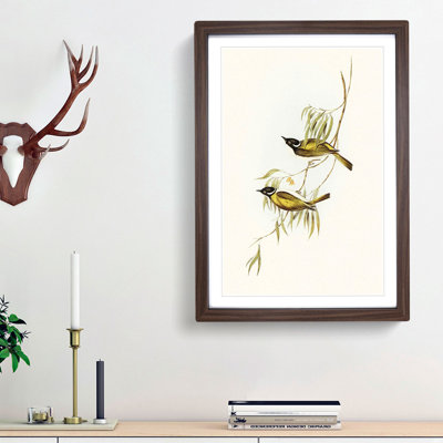 Swan River Honeyeaters by Elizabeth Gould - Picture Frame Art Prints