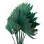 Tige de palmier Forsyth-2073409833