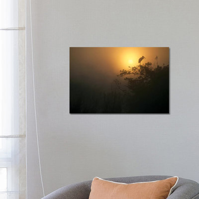 Wood Stork Perched In Tree, Everglades National Park, Florida by Tim Fitzharris - Wrapped Canvas Print