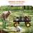 Ultra-Durable Garden Cart Garden Carts