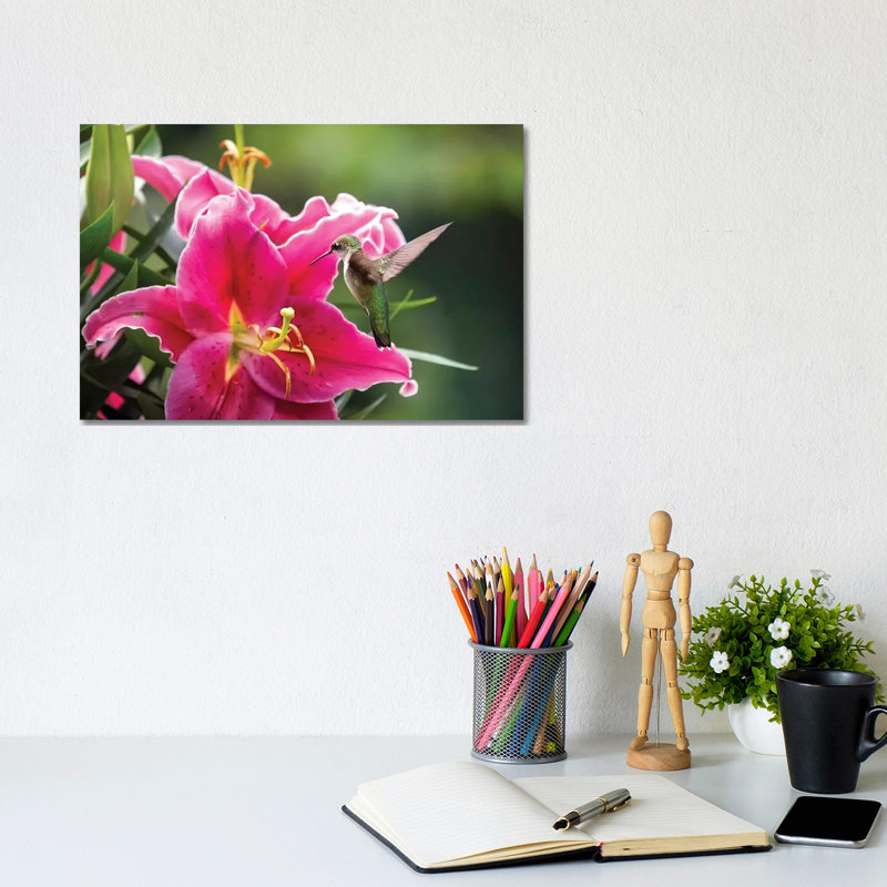 Hummer and Lily 1 Piece Wrapped Canvas Wall Art, 20.32cm H x 30.48cm W x 1.905cm D
