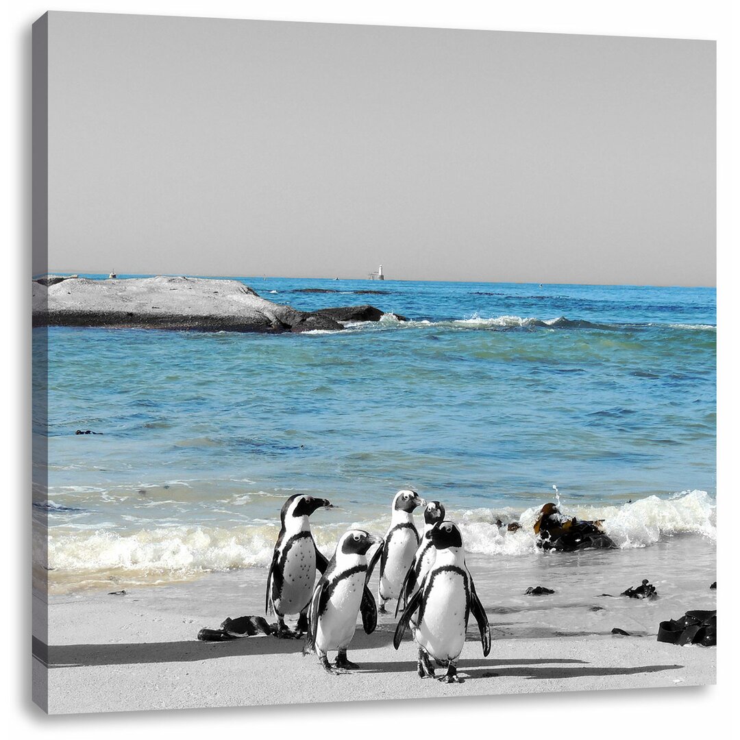 Leinwandbild Lustige Pinguine am Strand