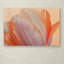 «Orange Glowing Tulip» par Cora Niele, reproduction de photo sur toile tendue-32708093