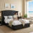  Modern Glam Queen Velvet Upholstered Platform Bed with 2 Storage Drawers and Curved Wingback Headboard, Black-11630323-11630332