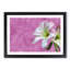 Pink and White Amaryllis Flower - Picture Frame Painting Print-56632811-56632807