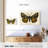 Brampt Natures Butterfly V-107852149