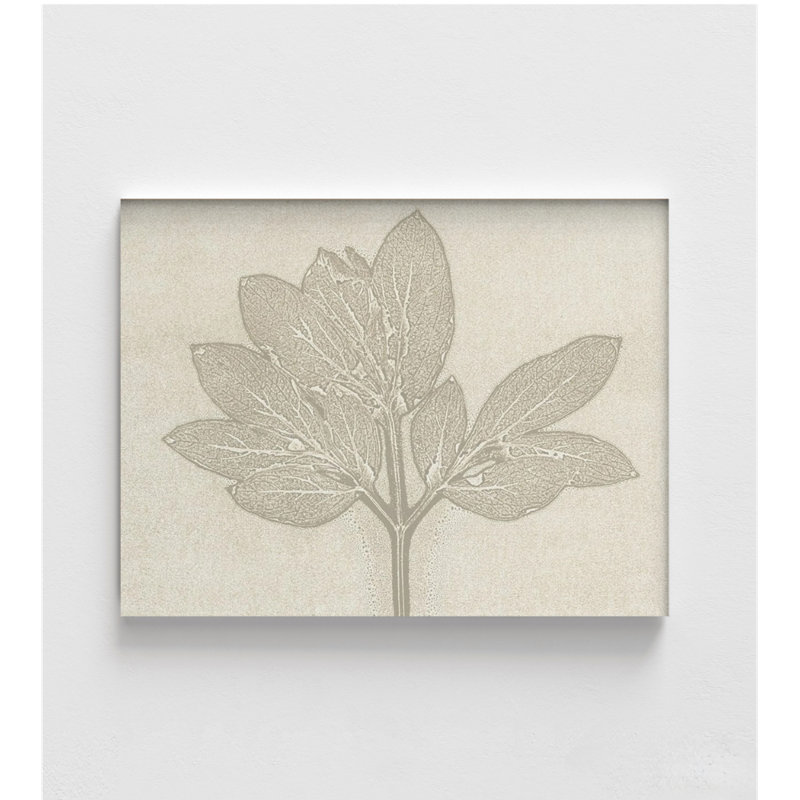 «Horizontal Plants 3» par MMB Studio, art mural neutre ton nu, impression d'affiche feuilles beige, illustration botanique beige