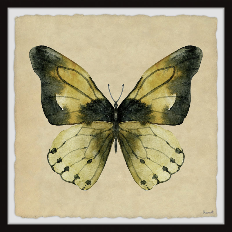 The Tropical Butterfly - Single Picture Frame Print, 41cm H x 41cm W x 3.81cm D