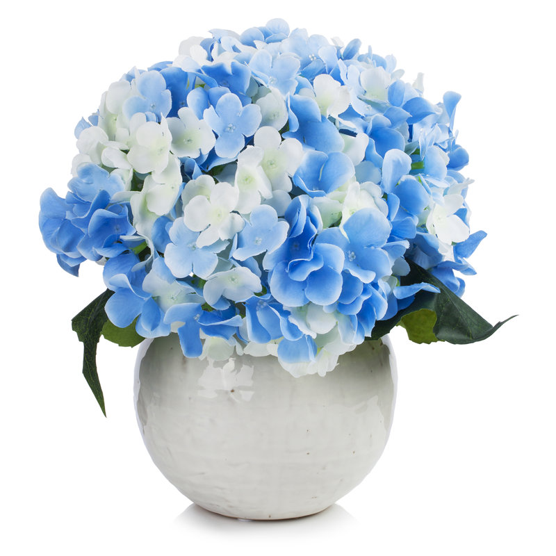 Arrangement floral d'hortensias en pot, Bleu/crème