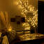 Holiday Lighting