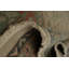 Tapis Ziegler à motif antique avec bordure florale 6 x 8